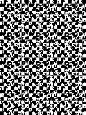 3 x Sylvester Gift Wrap