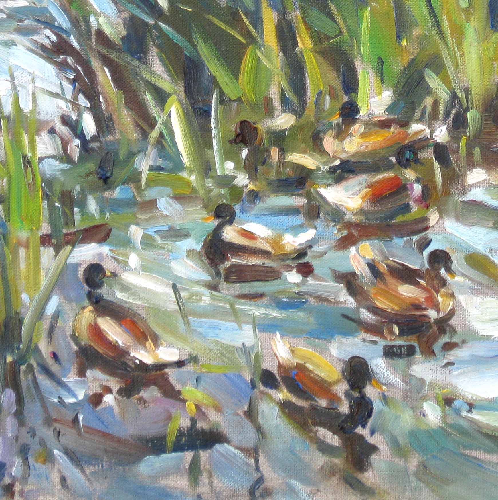 Art Card - (R) Hidden in the Reeds